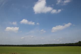 Mooie dag in Taarlo foto4