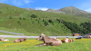 Alpen: warm, onweerskansen nemen toe