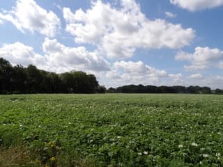 Wolken boven het platteland