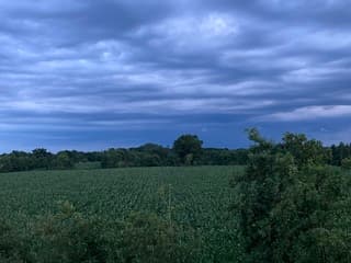 Donkere onweerswolken boven het maisveld