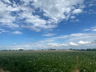 Limburgse schoonheid