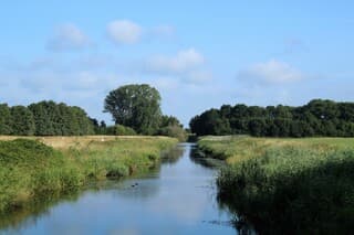 rustige natuur
