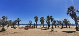 Prachtig weer in Zuid Frankrijk 