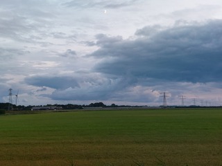 De zwemmende dolfijnen 