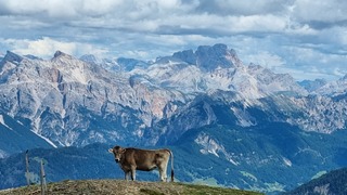 Rustiger weer in Noord-Italië