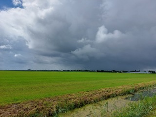 Regenwolken