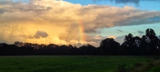 Regenboog 
