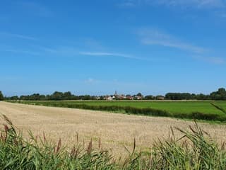 Gapinge nog in de volle zon 