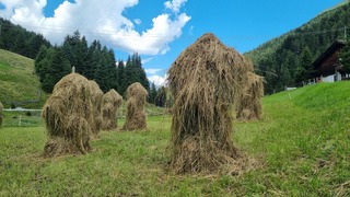 Alpen: vandaag nog buien
