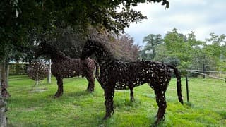 Ijzeren paarden