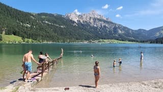 Alpen : zomers