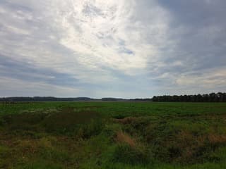 Het is nog droog....