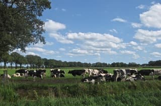 Op een mooie zomerdag. . . .