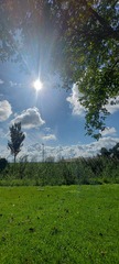 Wakker worden in Noordeloos