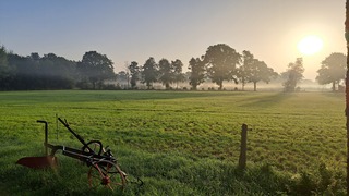 Goedemorgen 
