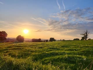 De zon straalt nog door de paardenbloemen ?