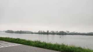 Miezer bij Wijk en Aalburg