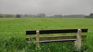 Miezer in Wijk en Aalburg