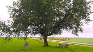 PICKNICKPLEKJE