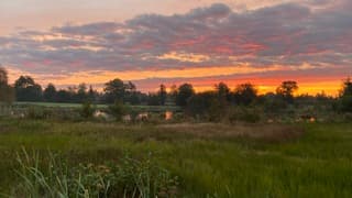 Zonsopkomst bij het meertje