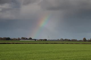 Regenboog weer!