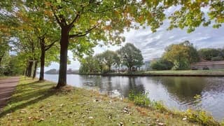 Warme, zonnige herfstdag,  rond 19 graden