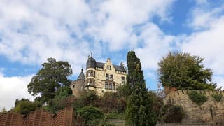 Prachtig weertje in Herzogenrath vanmiddag 