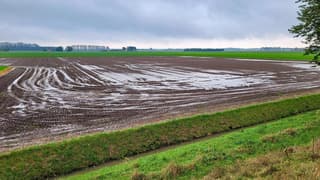Veel regen gevallen
