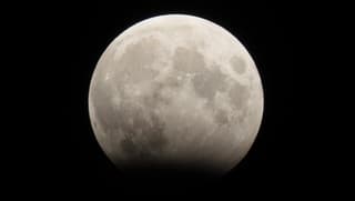 Maansverduistering