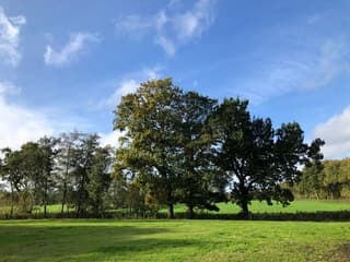 Twijzel Friesland