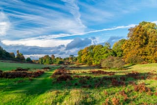 Herfst in Sevenoaks (uk)