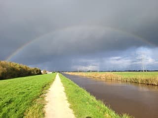 Regenboog