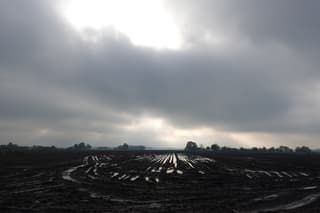 Het licht van deze ochtend
