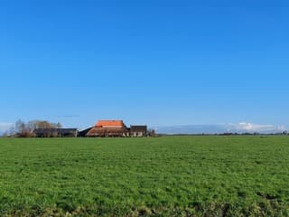 De rietdekkers konden nog mooi wat doen.