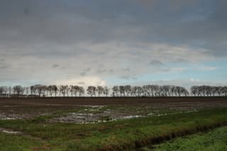 Buiig weer in Zeeuws-Vlaanderen