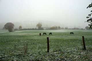Winters