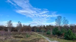 Heerlijk weer in Noord-Brabant, bomenpark Heesch.
