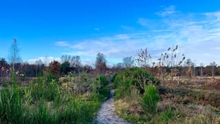 Heerlijk weer in Noord-Brabant, bomenpark Heesch.