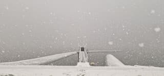 Winter wonderland