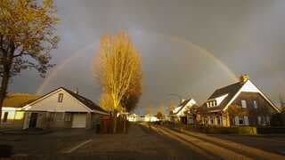 Regenboog