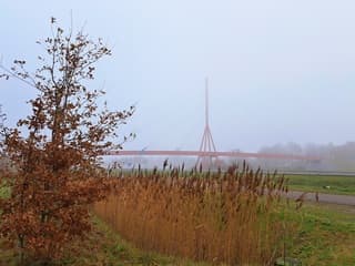 Hardnekkige bewolking 