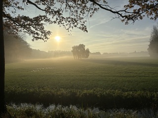 Ochtendgloren 