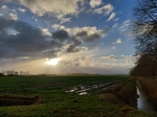 Zonsopkomst in de weilanden net buiten Haule in Friesland.