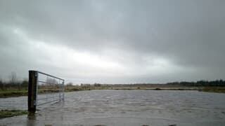 De zon probeert het maar het lukt net niet op kerstdag bij Roderesch / Roden