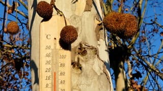 Zon en strak blauwelucht