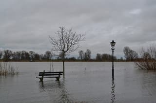 Hoog water aan de Lek.
