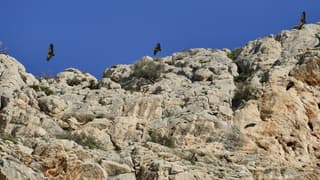 Vale gieren langs, het koningspage,/Caminito del Rey 