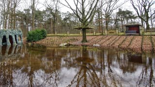 Openluchttheater staat blank