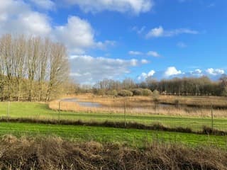 Nieuwjaarsdag in Natuurpark Lelystad 