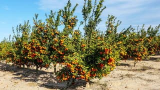 Zonnig dunne sluierwolkjes blauwe lucht 